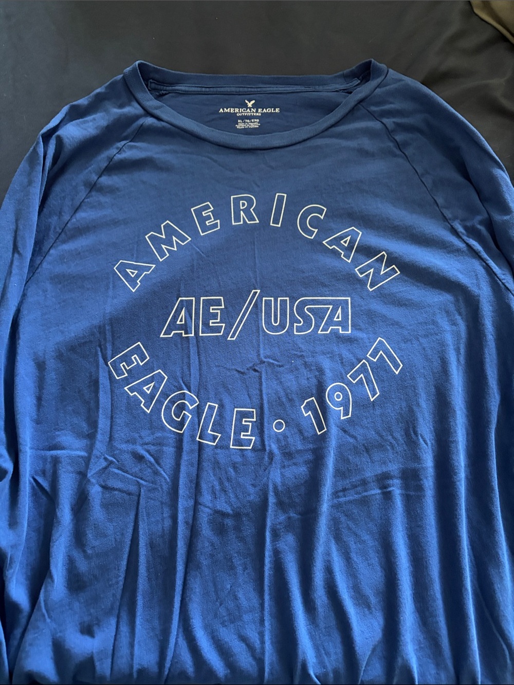American Eagle Outfitters Navy Blue AE/USA Graphic Long Sleeve Tee